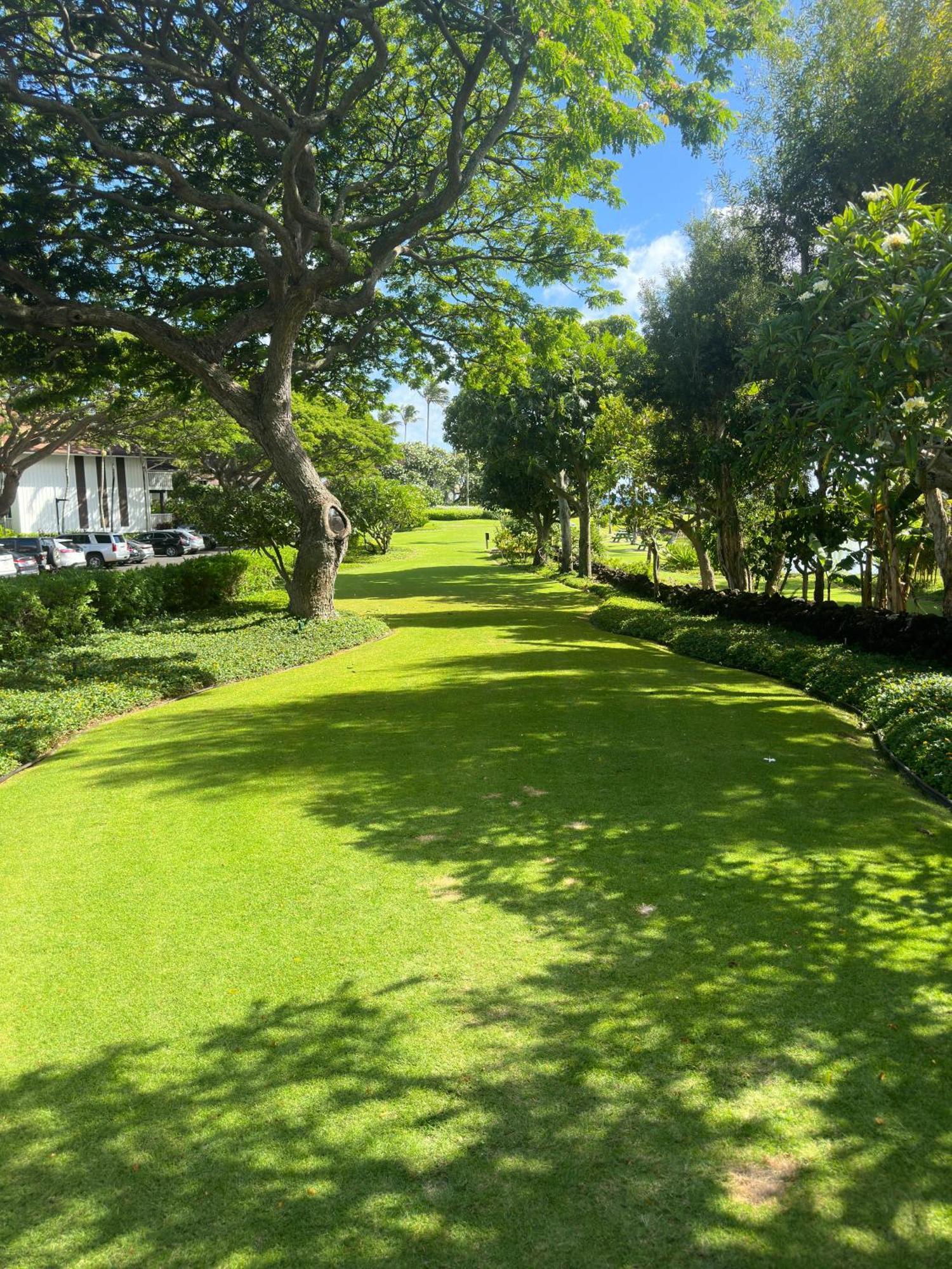 Kiahuna Paradise At Poipu Beach, Newly Remodeled Koloa Exteriér fotografie